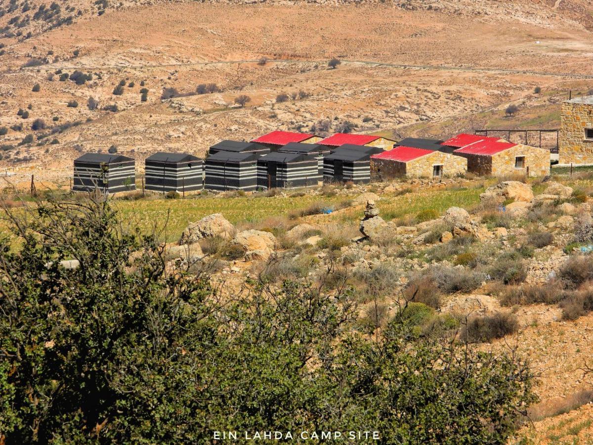 Hotel Ein Lahda Camp-Site Dana Exteriér fotografie
